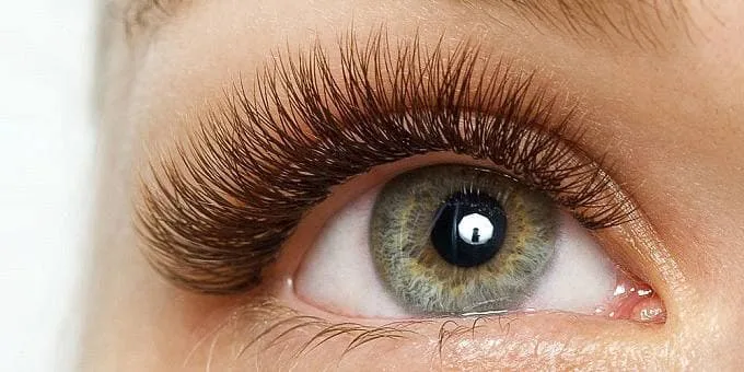 BROWN EYELASH